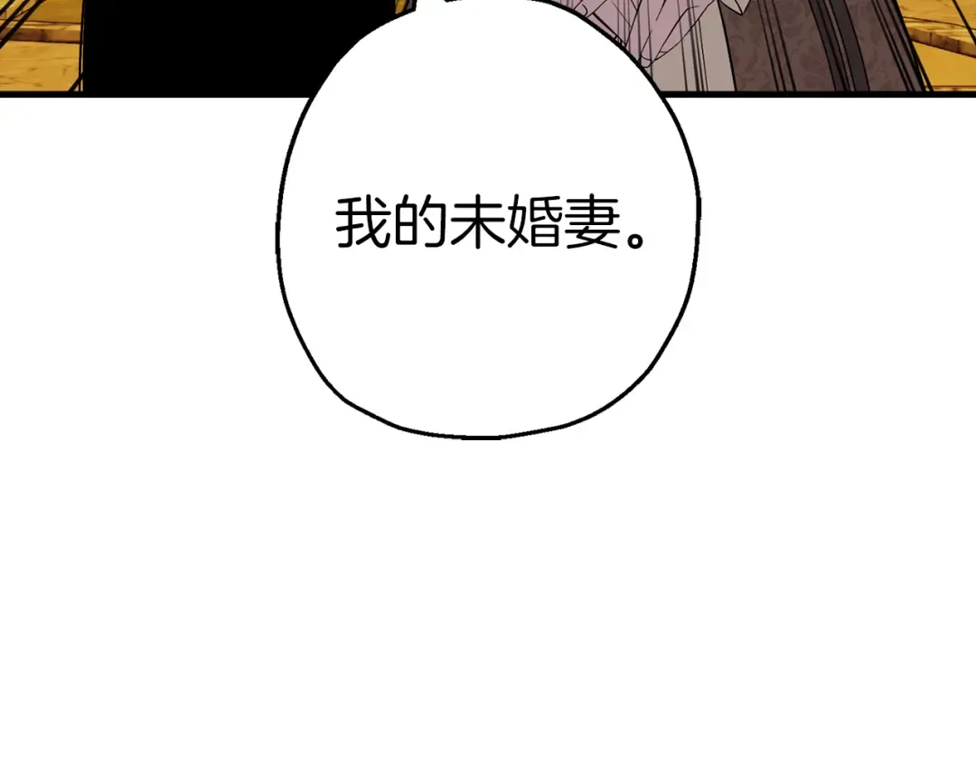 完结篇 新的征程 第138页