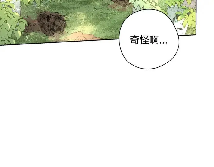 第21话 木香的源头 第5页