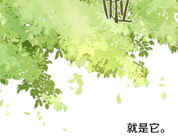 第21话 木香的源头 第117页