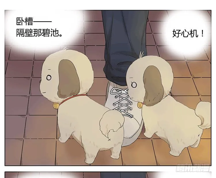 遛狗遛出了意外 第10页
