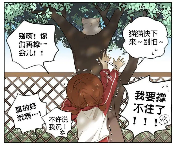 小猫 第10页