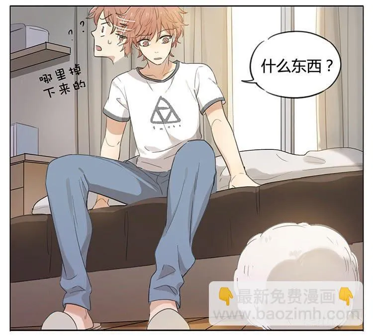 毛绒球 第5页