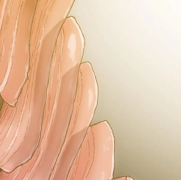 第45话 第50页