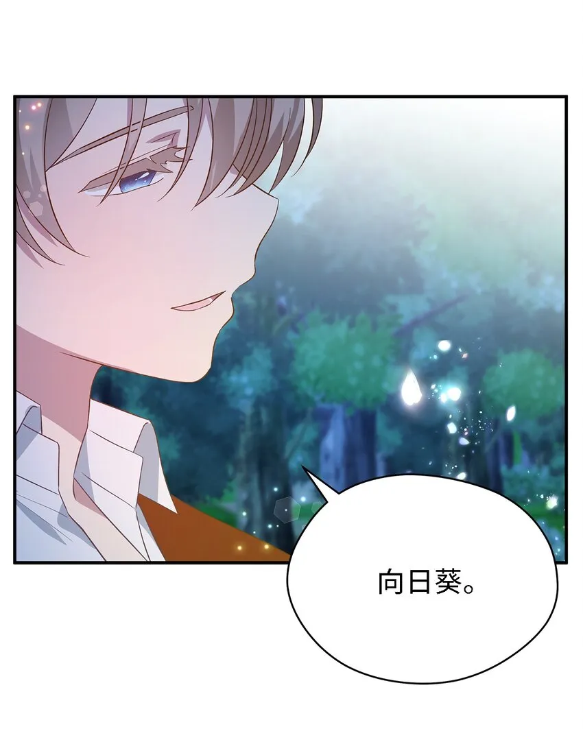 41 花开了 第13页