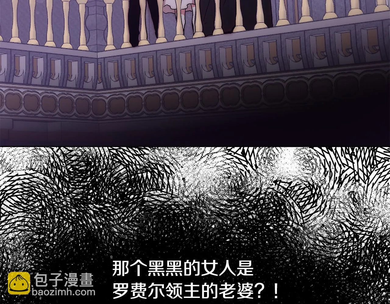 第47话 罗费尔夫人 第3页