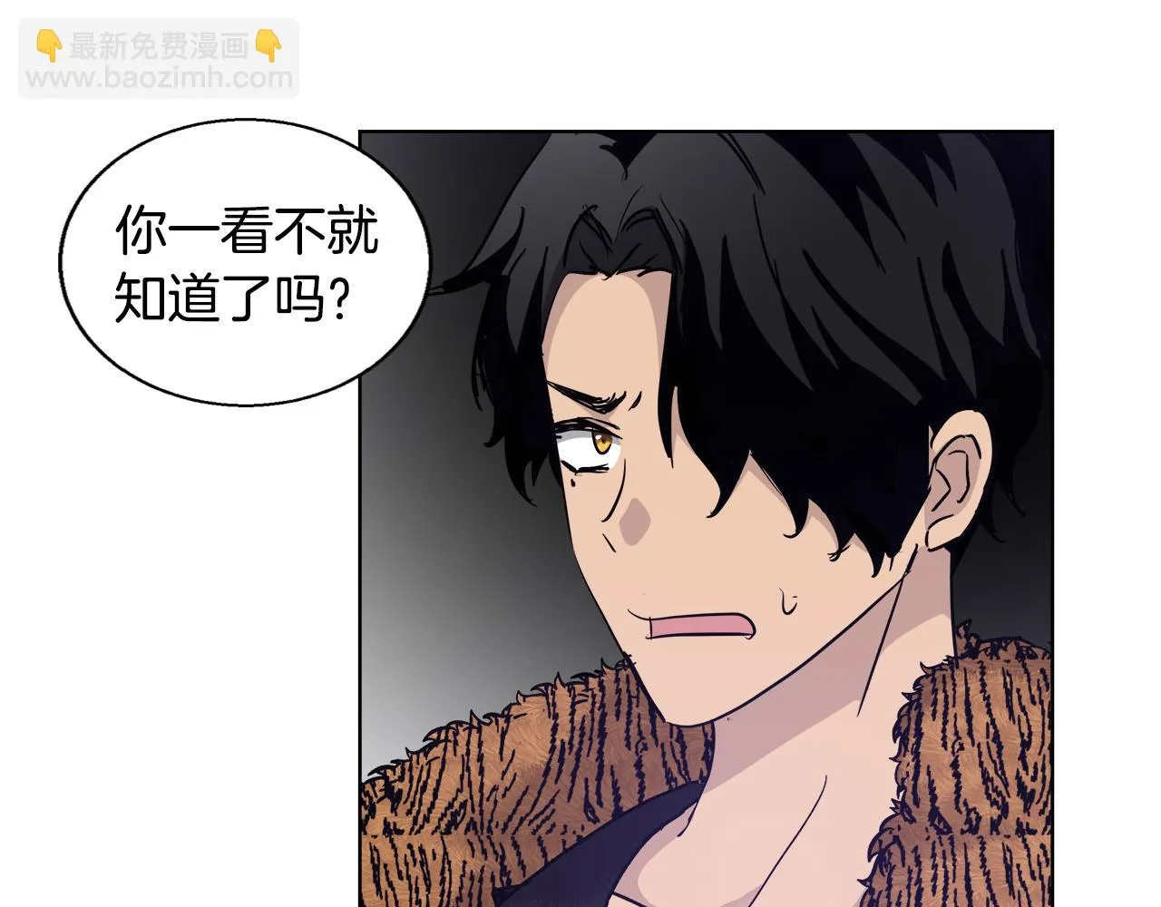 第47话 罗费尔夫人 第29页