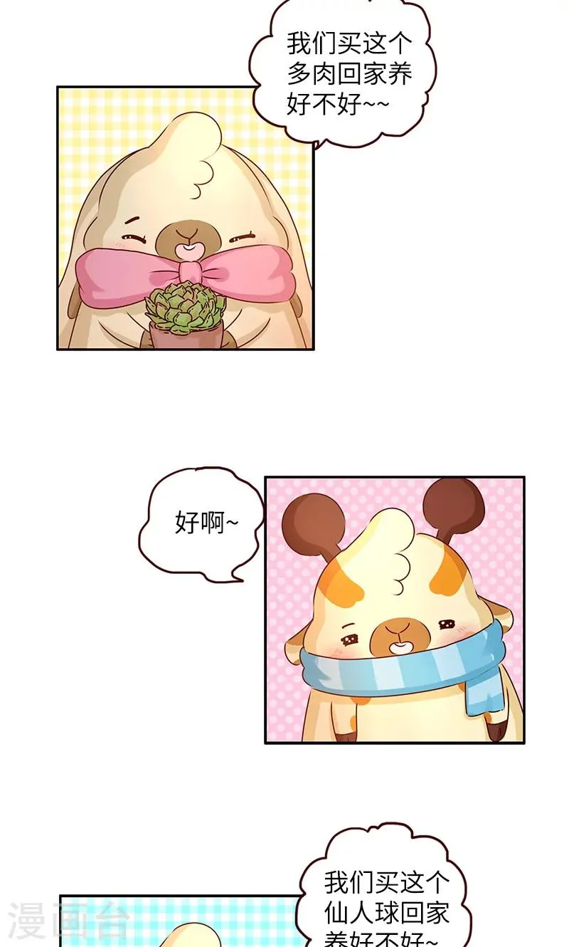 第4话 养植物 第2页