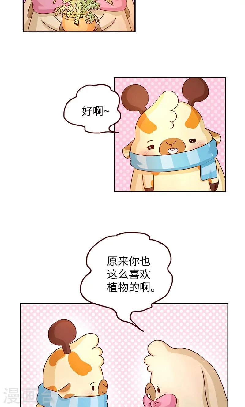 第4话 养植物 第4页