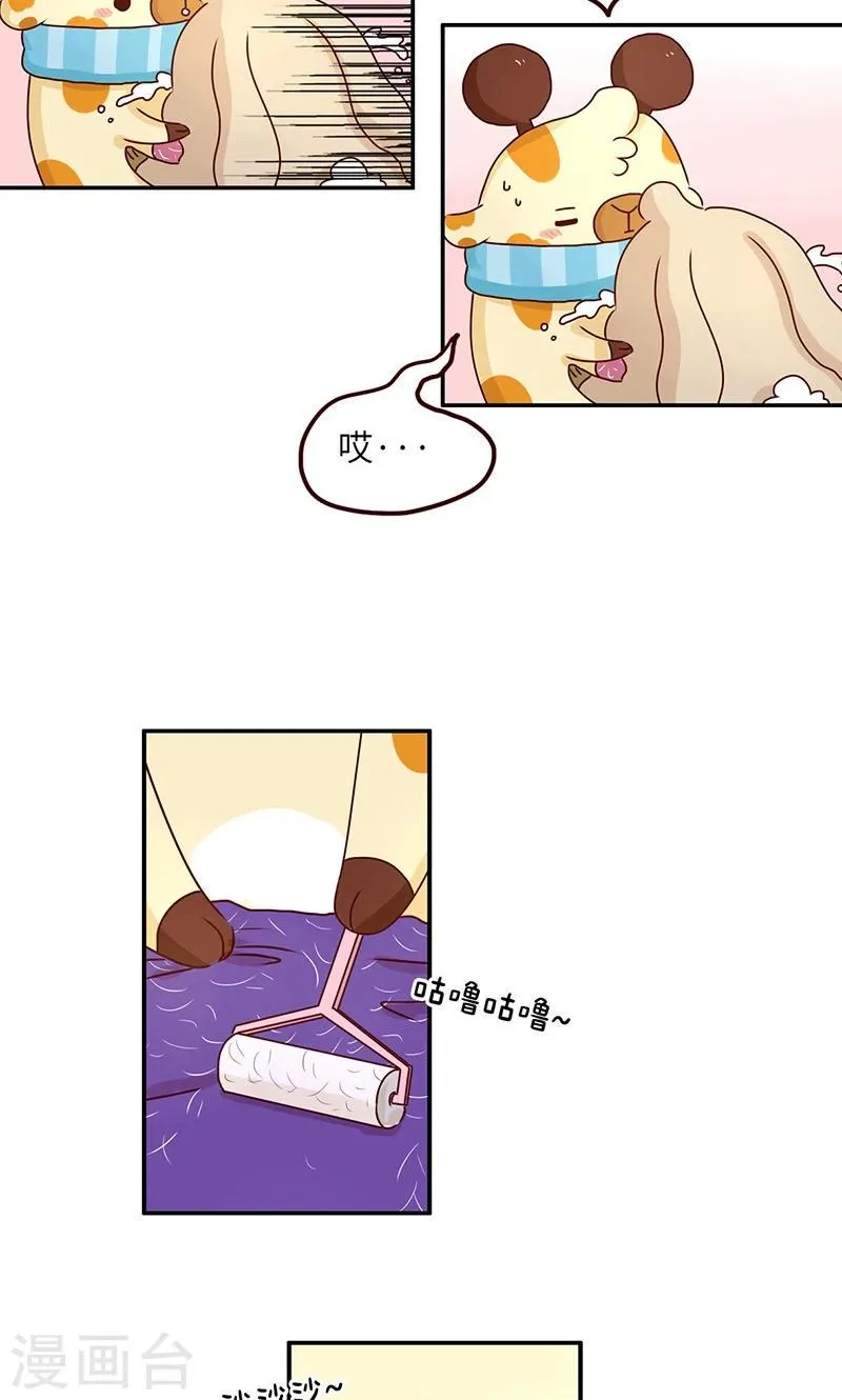 第37话 宠物女友 第10页
