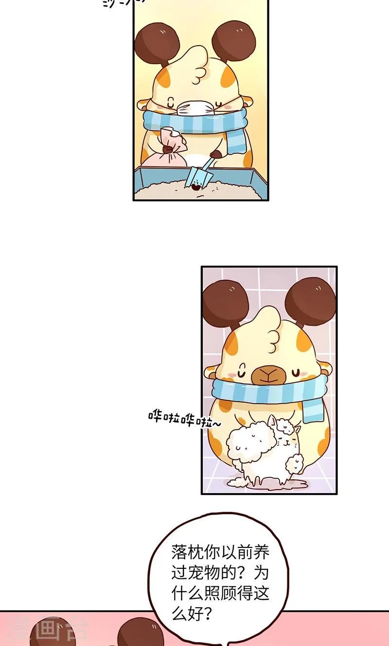第37话 宠物女友 第11页