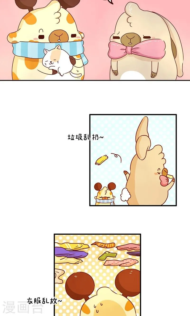 第37话 宠物女友 第12页