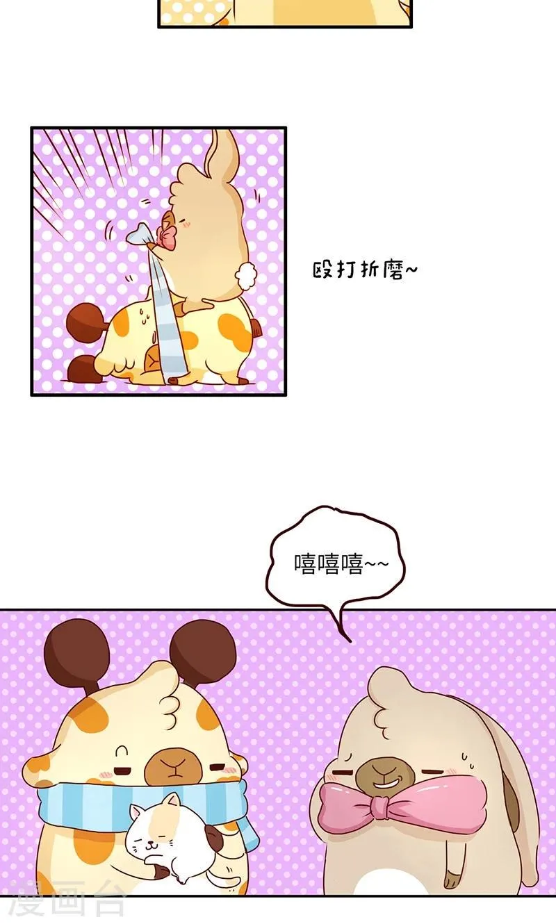 第37话 宠物女友 第13页