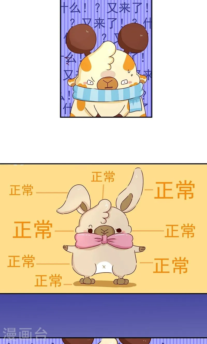 第39话 必死题 第6页