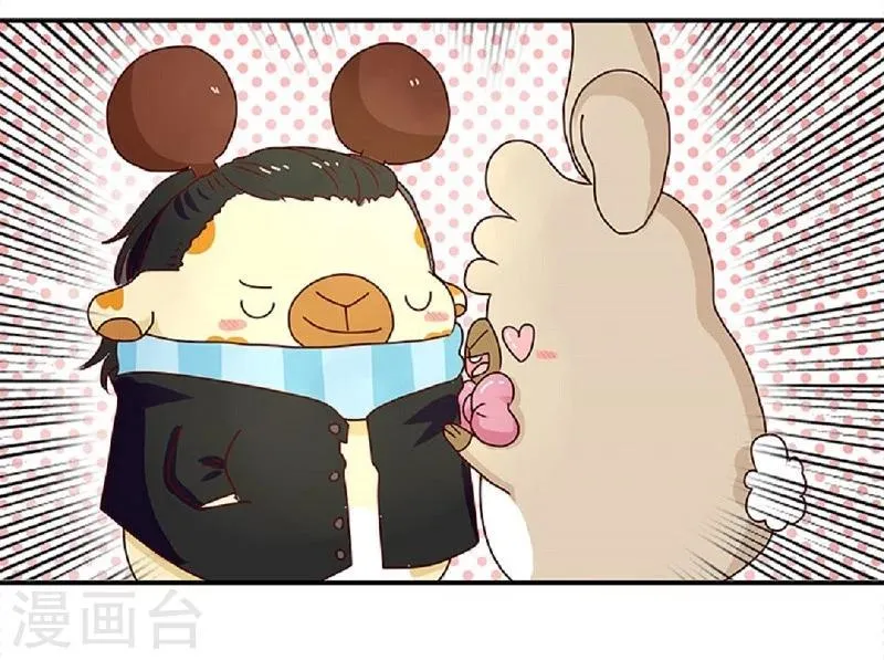 第62话 假发的魅力 第13页