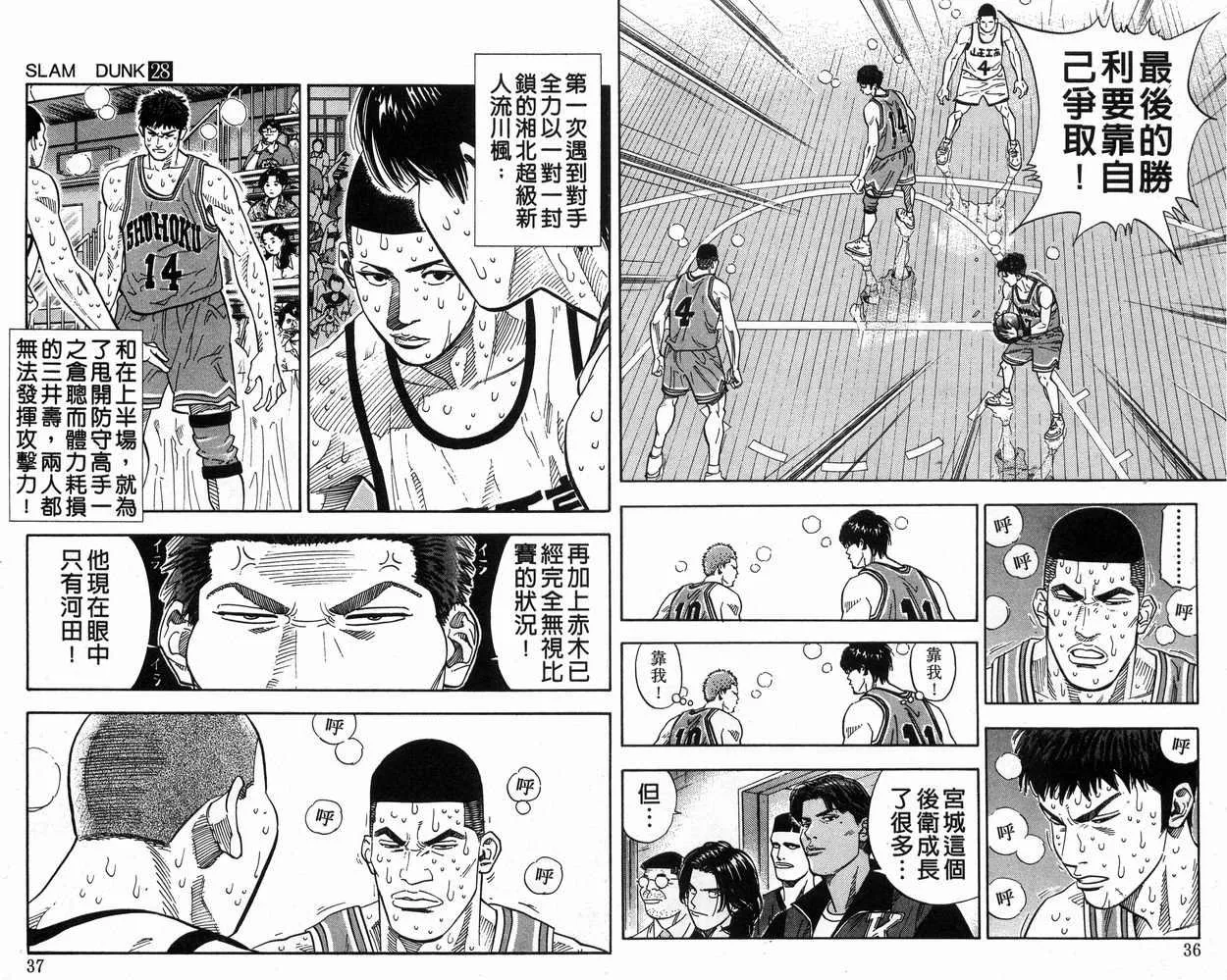 第28卷 第19页