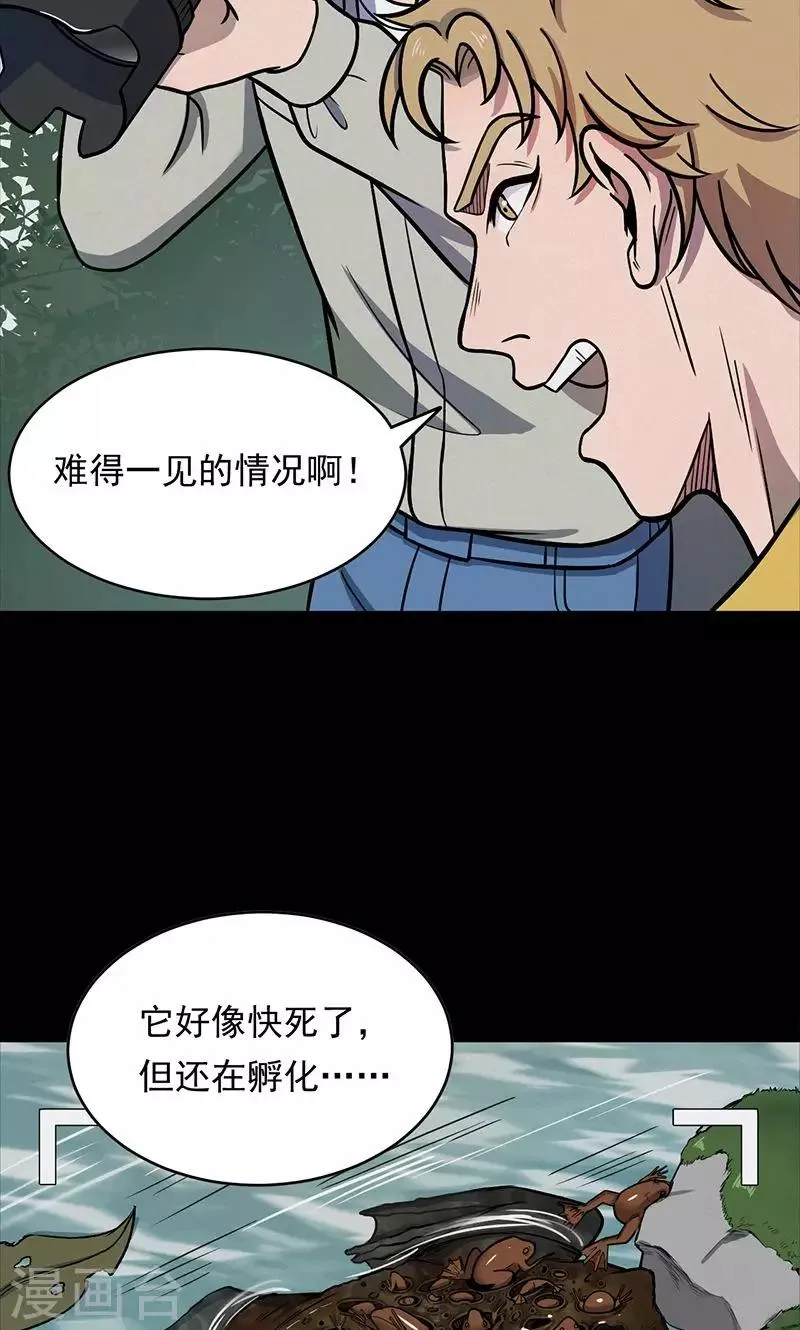 第102话 密林 第5页