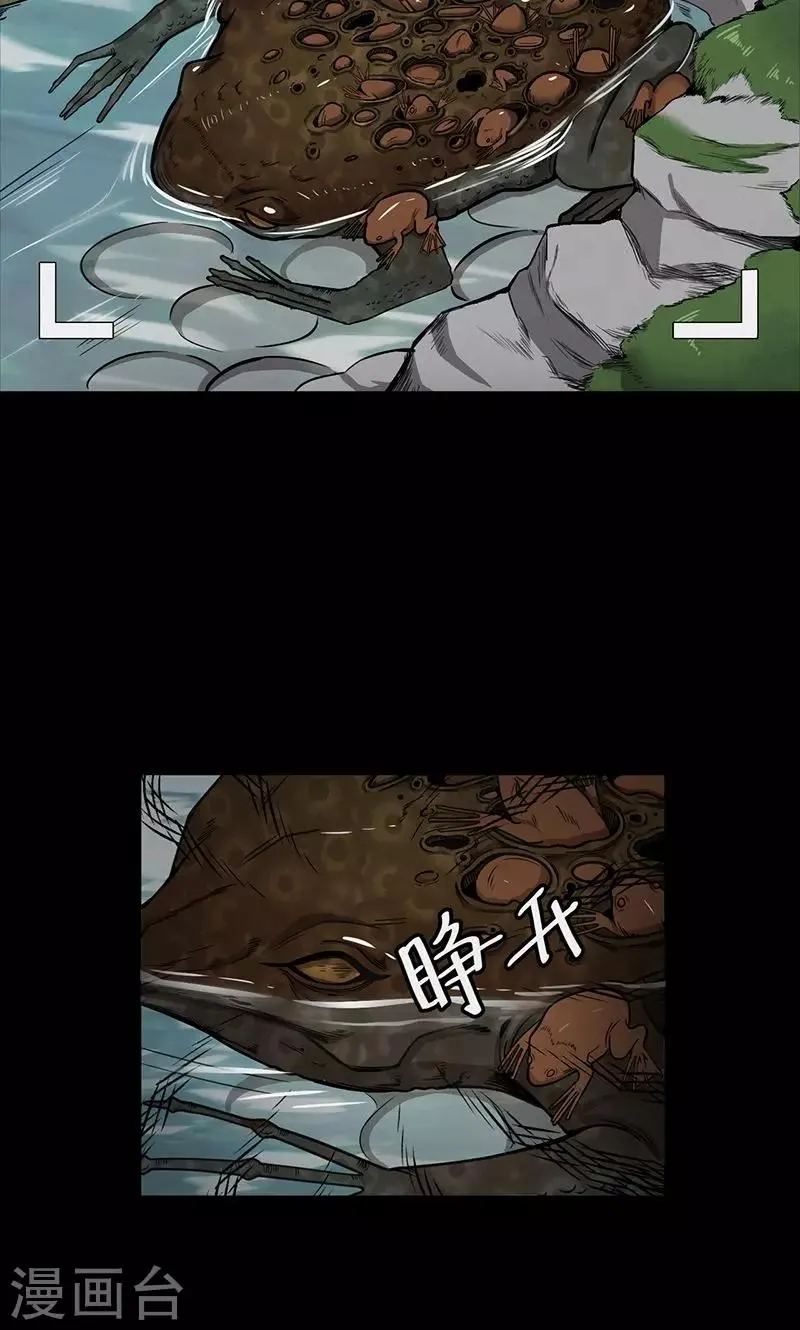 第102话 密林 第6页