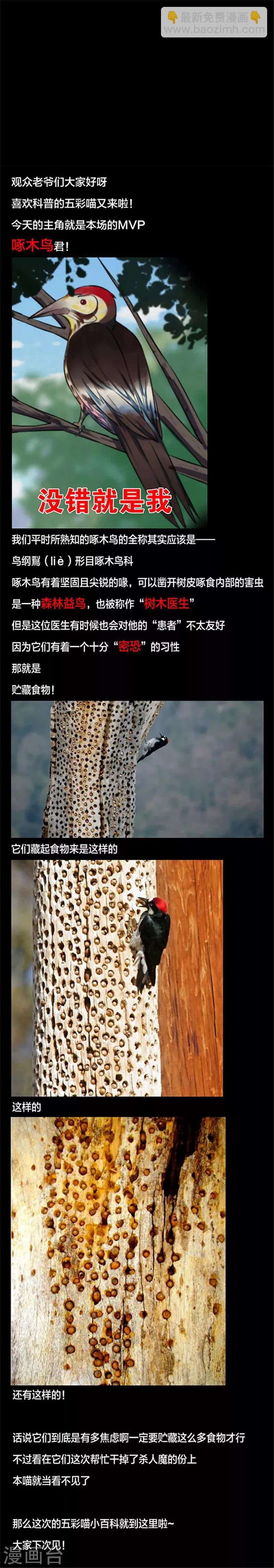 第131话 一见钟情2 第16页
