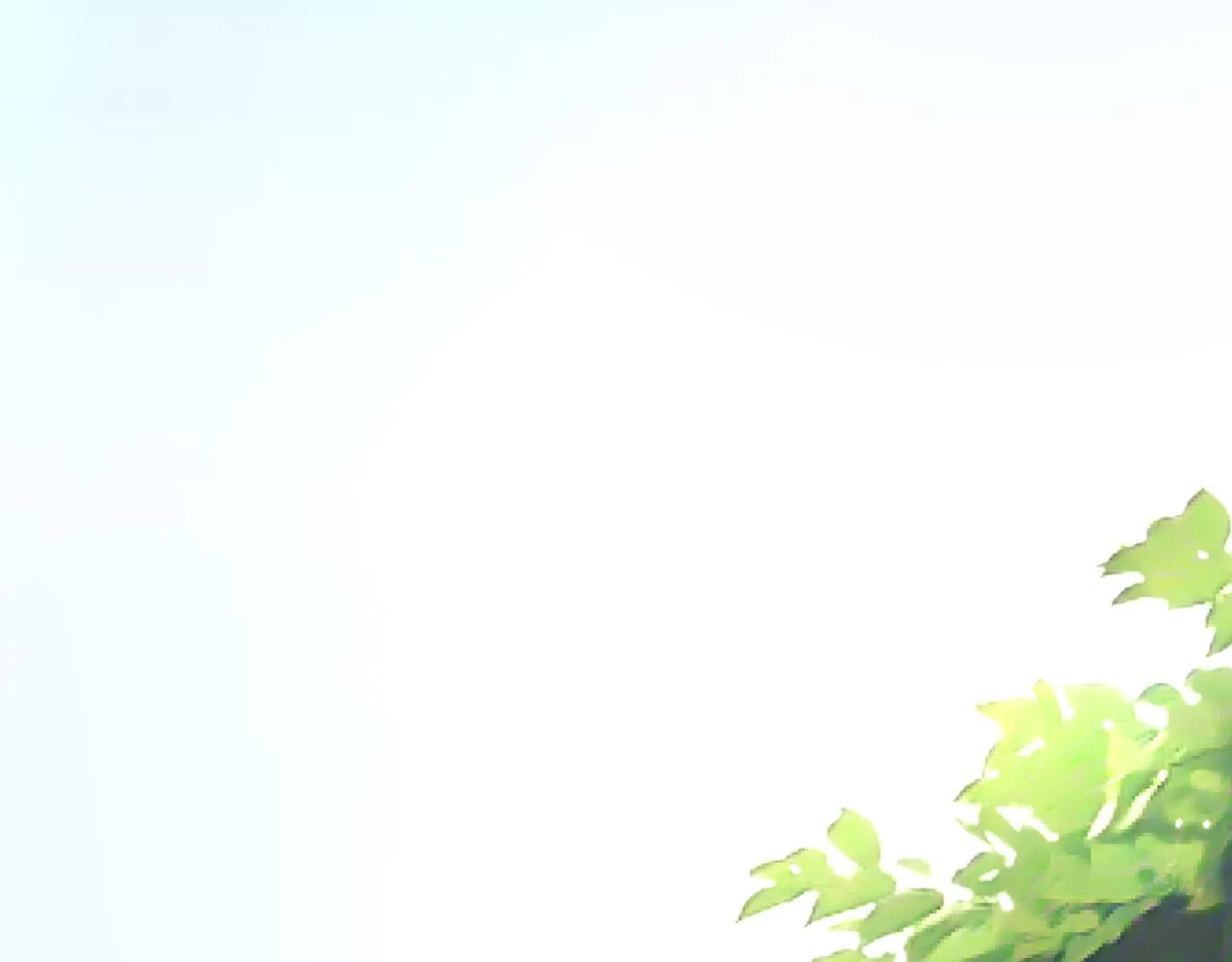 第80话最后的心愿 第71页