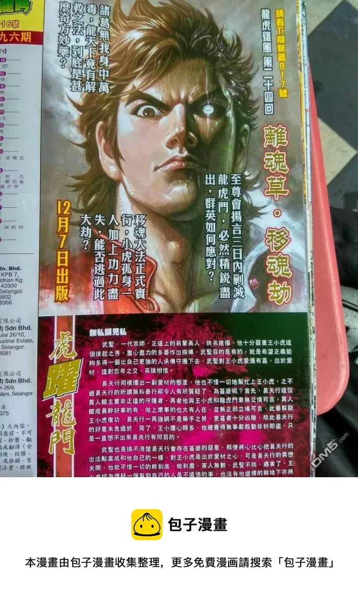 第916回 第30页