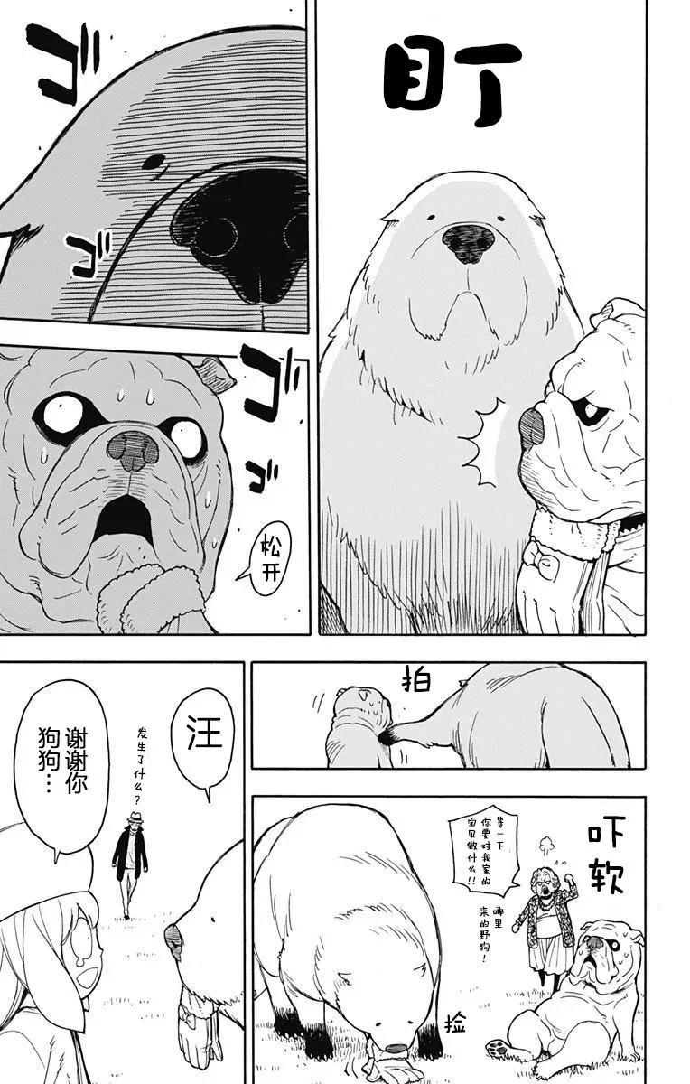 其他版23 第17页