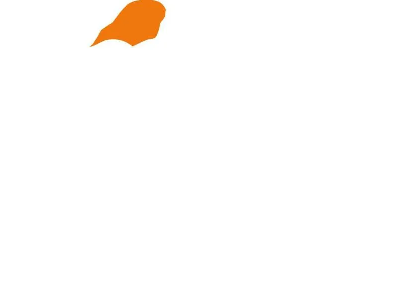 148 信念测试 第54页