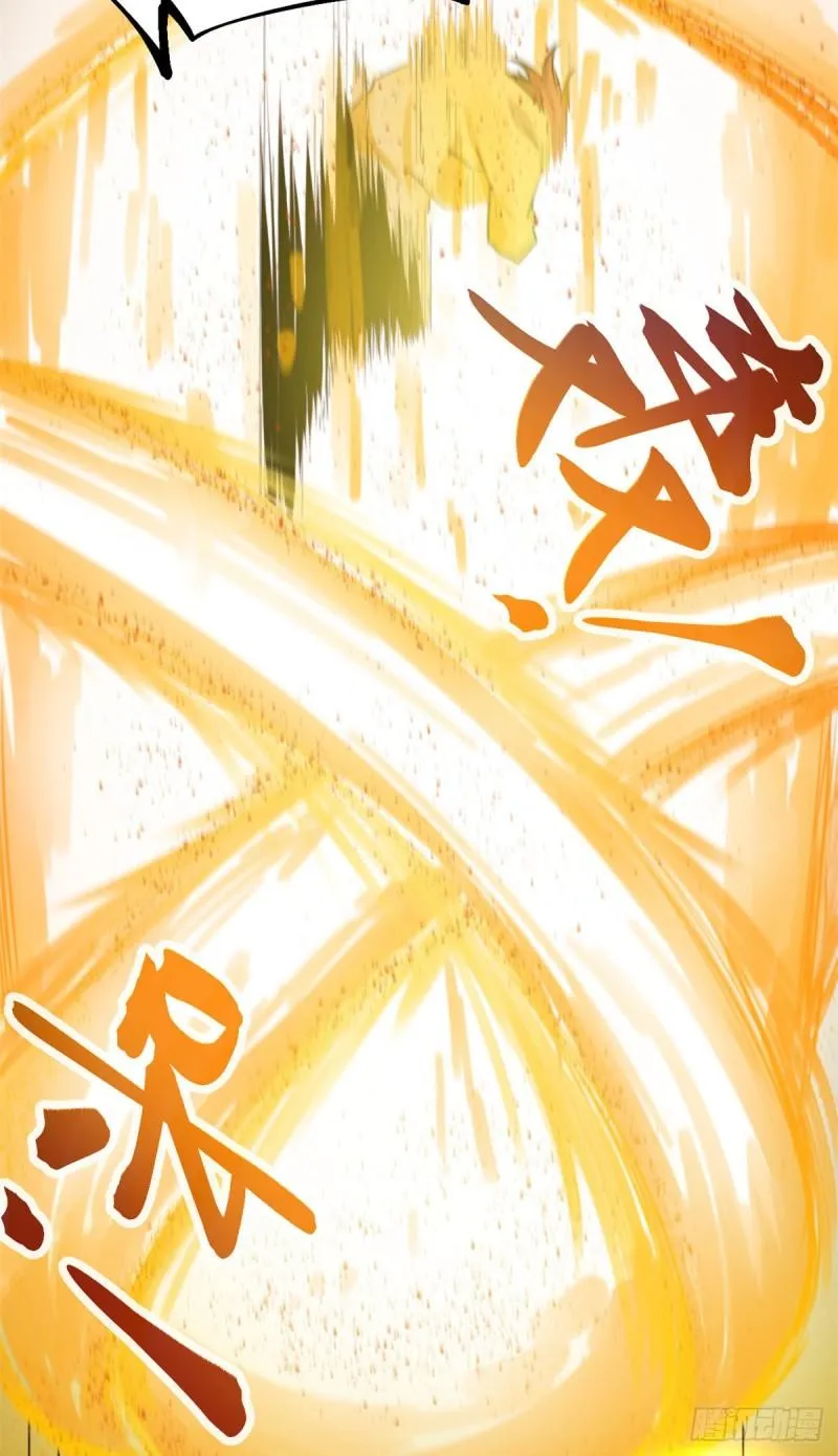 114 赌命的觉悟 第19页