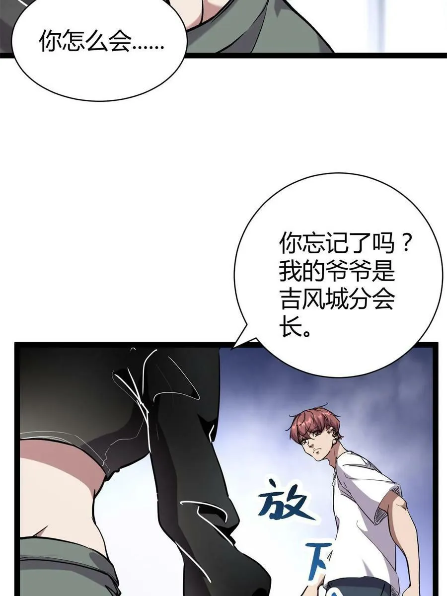 217 会长出手 第14页