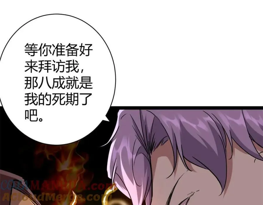223 鸠占鹊巢 第13页