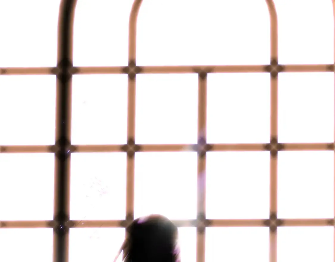 第117话 重振家族 第138页