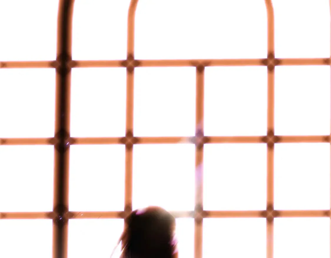第118话 爱的代价 第17页