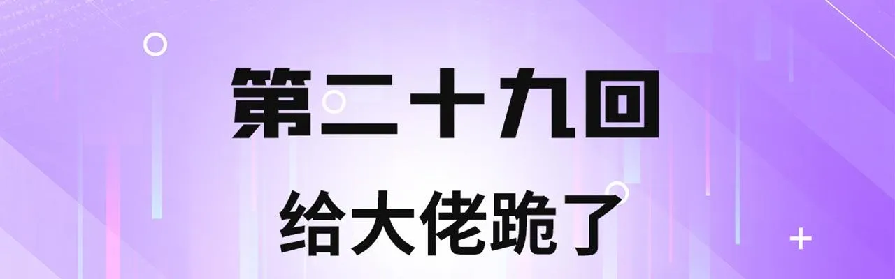 29回-给大佬跪了 第4页