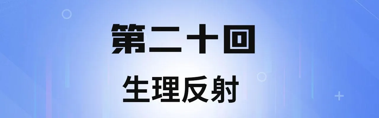 20回-生理反射 第4页