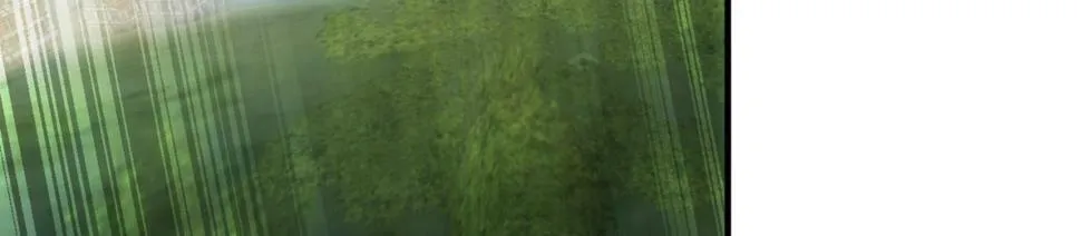 86回-178 第17页