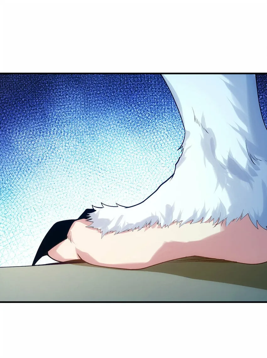 115回 极冻精灵·雪地兔子 第19页