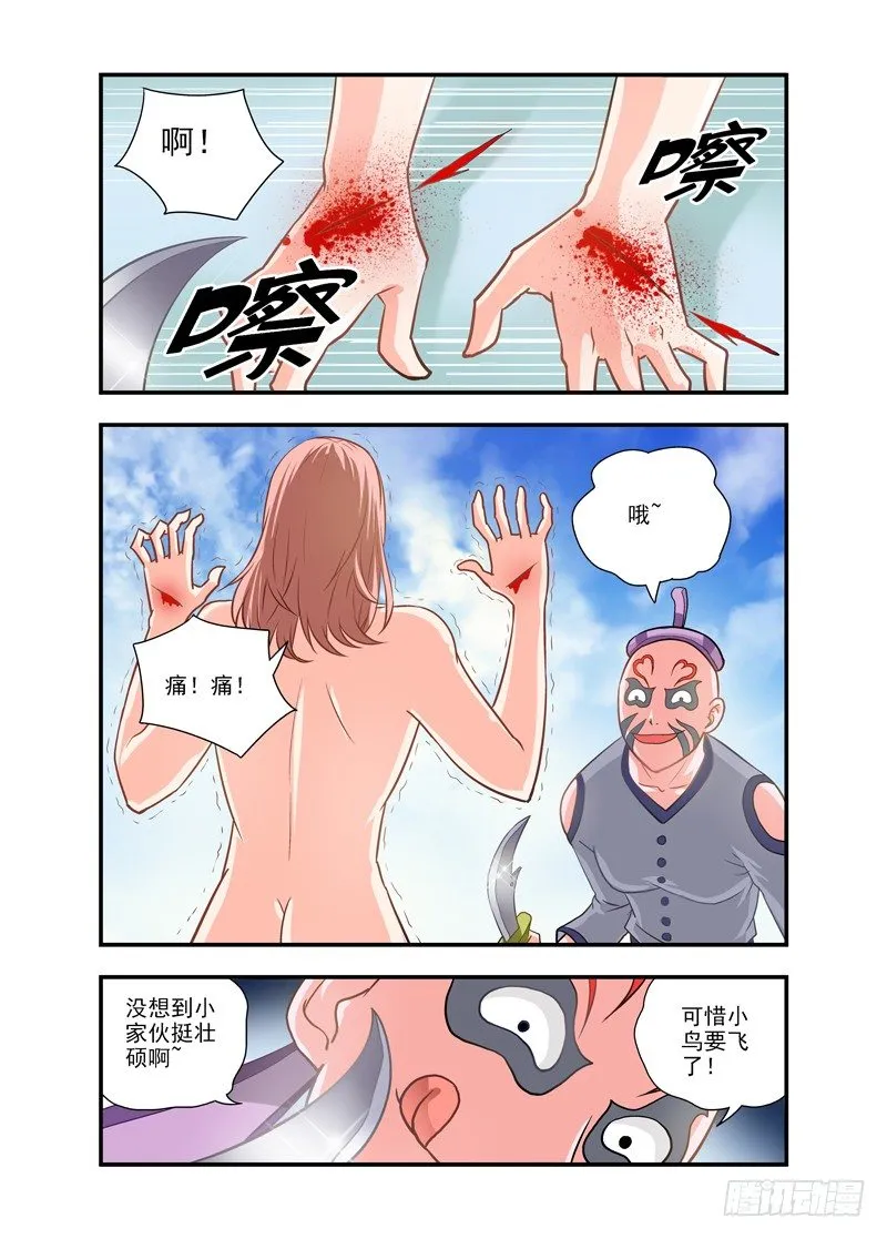 33 第11页
