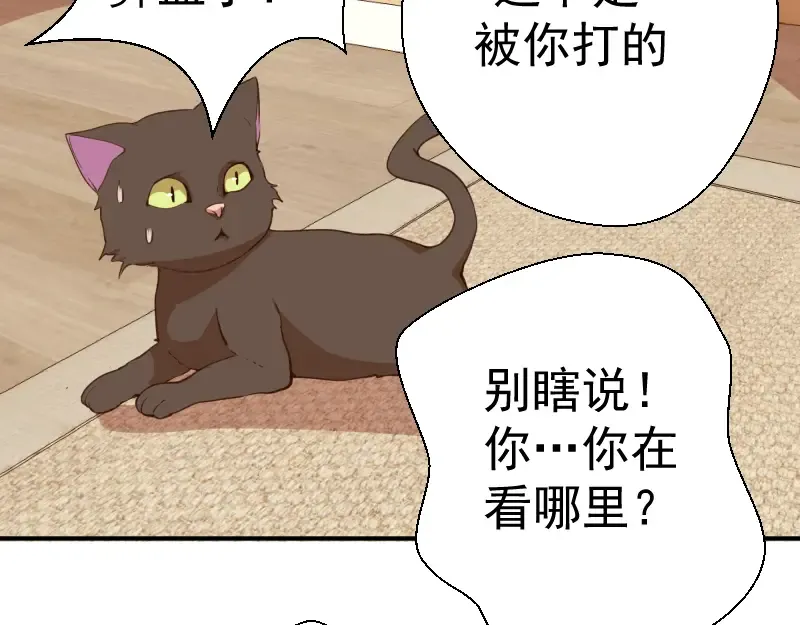第17话 十日危机 第14页