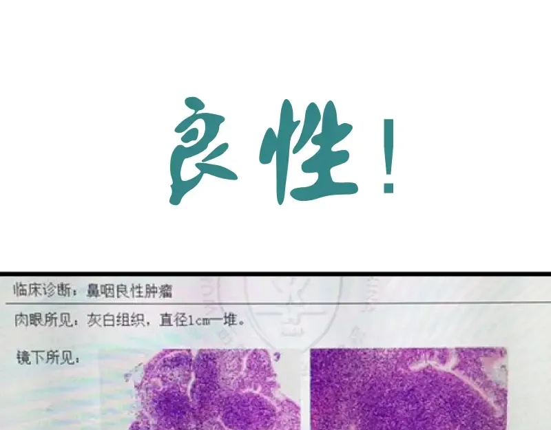 第28话 精魂的用途! 第156页