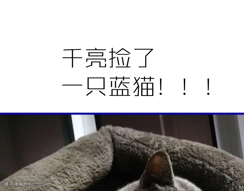 第47话 舒苗的神秘代码！ 第240页