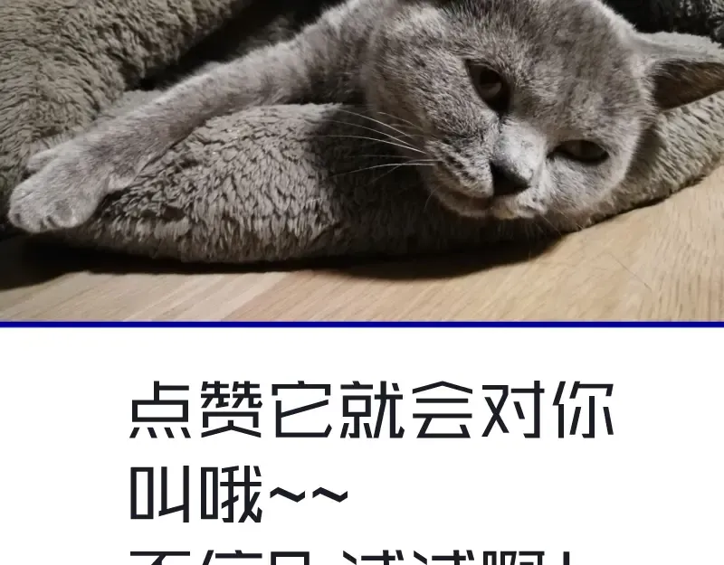 第47话 舒苗的神秘代码！ 第241页