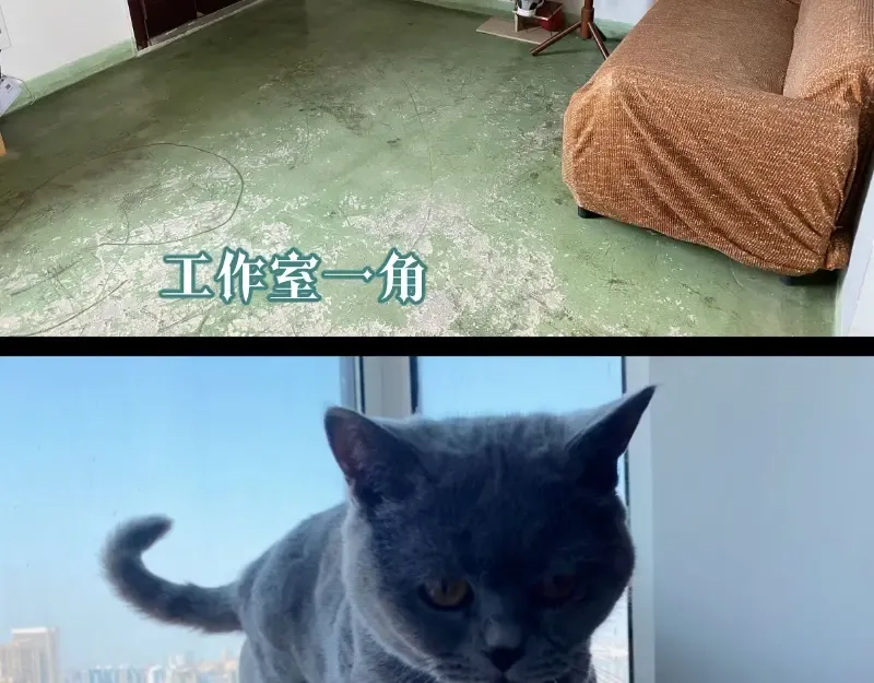 第72话 转学生竟然是？ 第174页
