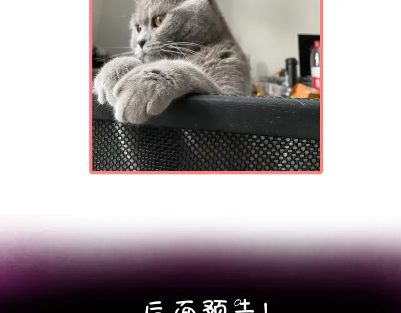 第84话 桃符北斗阵 第173页