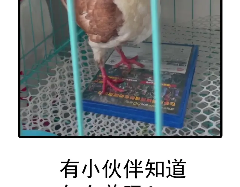 第144话 还我法器！ 第147页