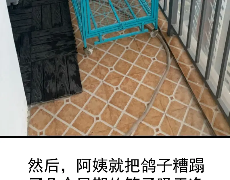 第148话 桃符山旧事（二） 第146页