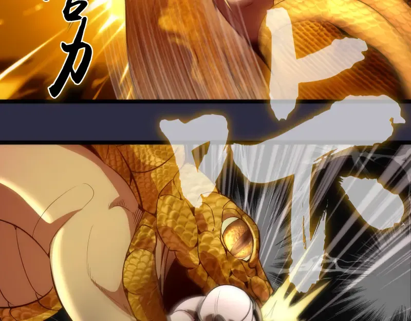 第176话 波球的死斗 第105页
