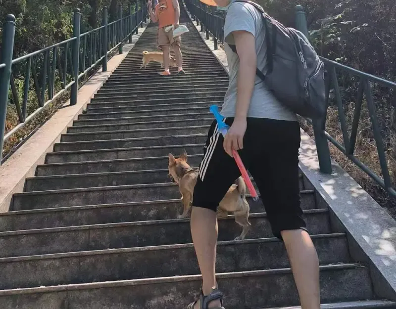 第197话 孙驭乾的实力 第138页