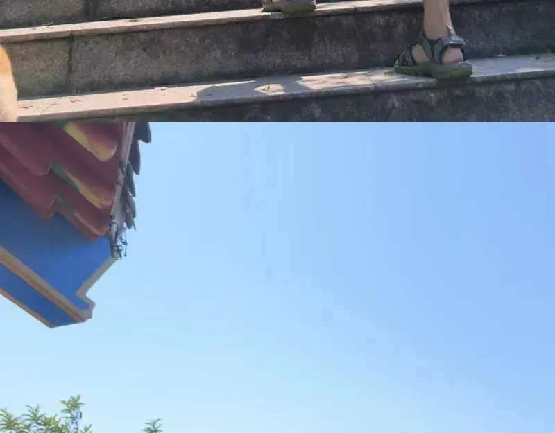 第197话 孙驭乾的实力 第139页