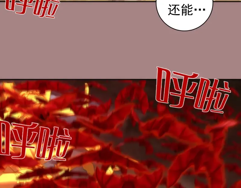 第204话 基德vs米拉黛丝 第43页