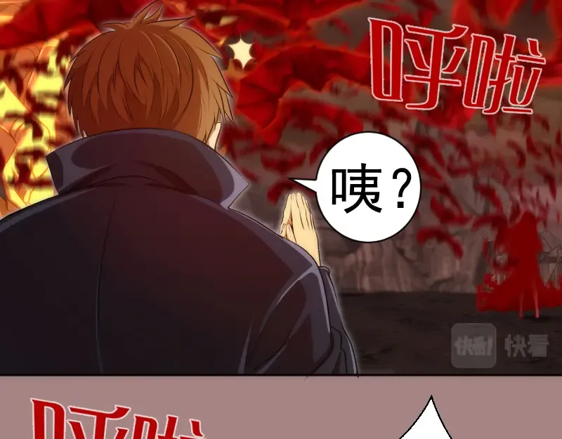 第204话 基德vs米拉黛丝 第44页