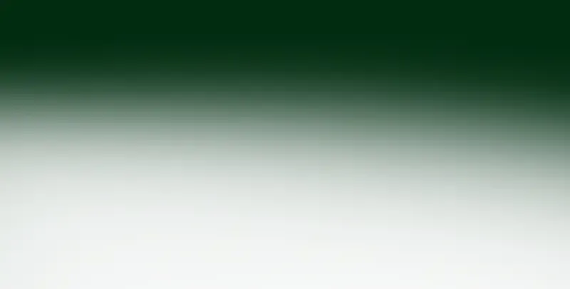 217 主的降临 第136页